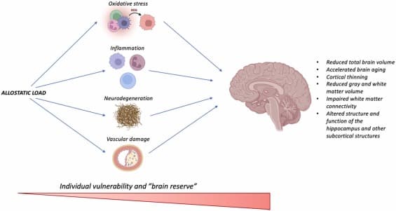 The Science of Burnout